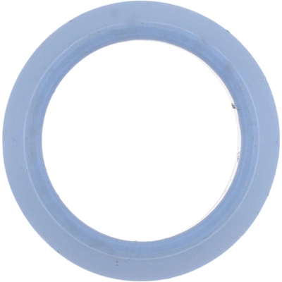 VICTOR REINZ - 71-13788-00 - EGR Valve Gasket pa1