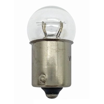 HELLA - 631 - Courtesy Light Bulb pa1