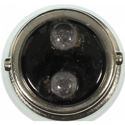 WAGNER - BP1004 - Step / Courtesy Light Bulb pa3