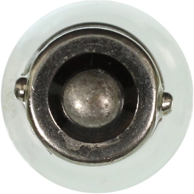 WAGNER - BP1895 - Bulb pa3