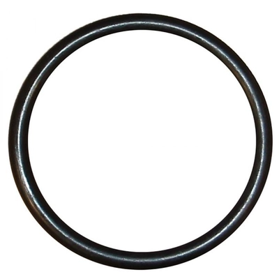 AJUSA - 16021900 - Engine Coolant Water Pipe O-Ring pa1