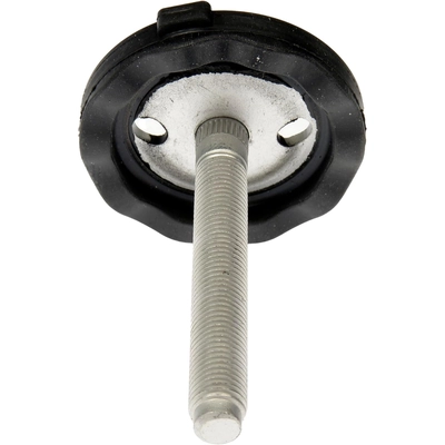 DORMAN (OE SOLUTIONS) - 926-376 - Engine Mount Crossmember Bolt pa2