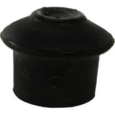 PIONEER - 609077 - Engine Mount Front Center pa1
