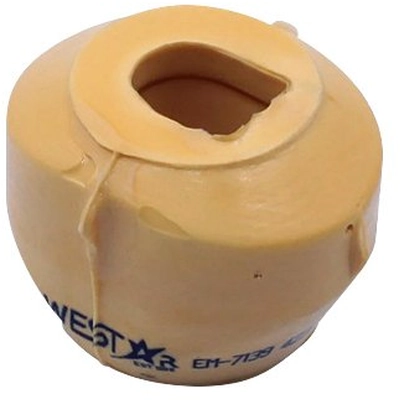 WESTAR INDUSTRIES - EM7139 - Engine Mount pa1