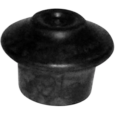 WESTAR INDUSTRIES - EM9077 - Engine Mount Front Center pa2