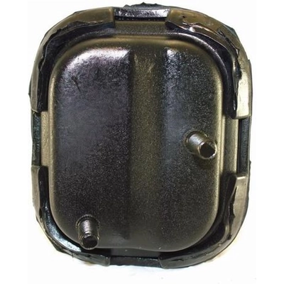 Engine Mount Front by DEA/TTPA - A2553HY pa1