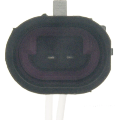 Engine Wiring Connector by BLUE STREAK (HYGRADE MOTOR) - S1075 pa2