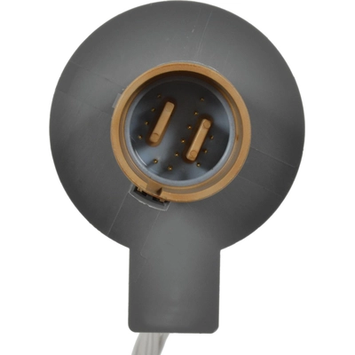 Engine Wiring Connector by BLUE STREAK (HYGRADE MOTOR) - S2148 pa5