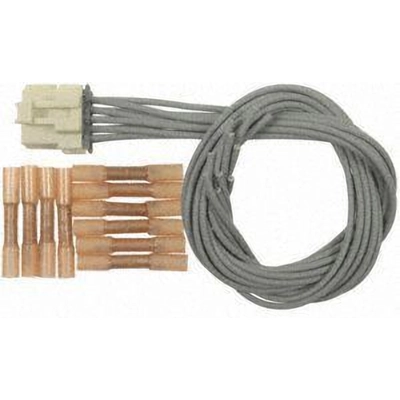 BLUE STREAK (HYGRADE MOTOR) - S1065 - Engine Wiring Connector pa48