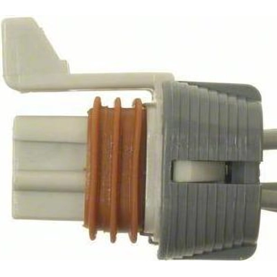 BLUE STREAK (HYGRADE MOTOR) - S1605 - Engine Wiring Connector pa23