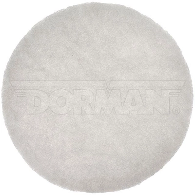 Evaporator Canister Filter by DORMAN (OE SOLUTIONS) - 994-308 pa1
