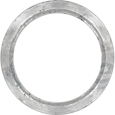 Exhaust Pipe Flange Gasket by APEX AUTOMOBILE PARTS - AEG1000 pa3