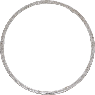 Exhaust Pipe Flange Gasket by ELRING - DAS ORIGINAL - 737.660 pa2