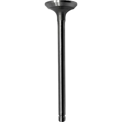 SKP - SKV2547 - Exhaust Valve pa2