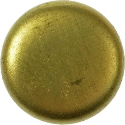 Expansion Plug (Block Parts) by DORMAN/AUTOGRADE - 565-016 pa1