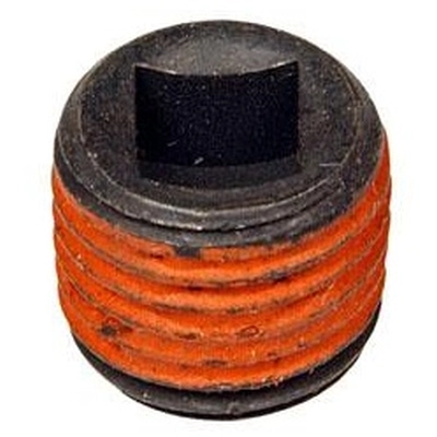 DORMAN (OE SOLUTIONS) - 090067 - Expansion Plug (Block Parts) pa1