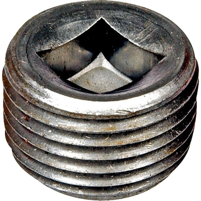 Expansion Plug (Block Parts) by DORMAN (OE SOLUTIONS) - 090092 pa2