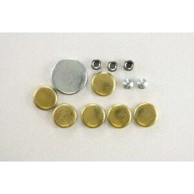 Expansion Plug Kit (Block Parts) by PIONEER - 830005 pa2