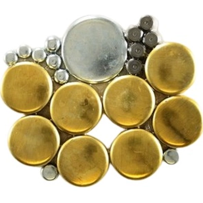 Expansion Plug Kit (Engine Kits) by PIONEER - 830001 pa6