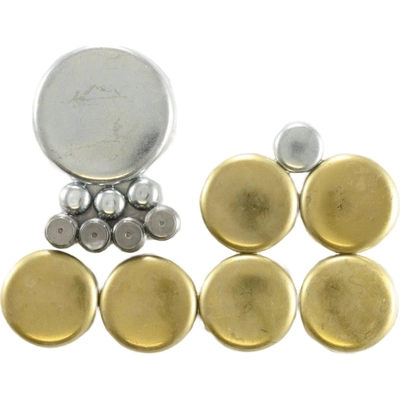 Expansion Plug Kit (Engine Kits) by PIONEER - 830004 pa1