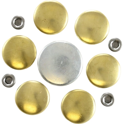 Expansion Plug Kit (Engine Kits) by PIONEER - 830008 pa1