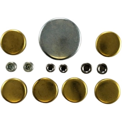 Expansion Plug Kit (Engine Kits) by PIONEER - 830012 pa4