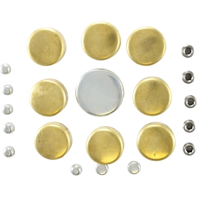 Expansion Plug Kit (Engine Kits) by PIONEER - PE100BR pa1