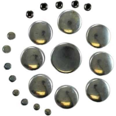 Expansion Plug Kit (Engine Kits) by PIONEER - PE100R pa4
