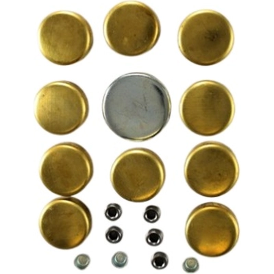 Expansion Plug Kit (Engine Kits) by PIONEER - PE101B pa5