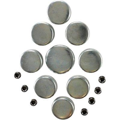 Expansion Plug Kit (Engine Kits) by PIONEER - PE102 pa4