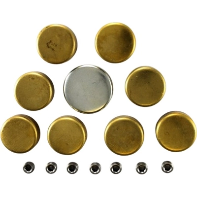 Expansion Plug Kit (Engine Kits) by PIONEER - PE102B pa5