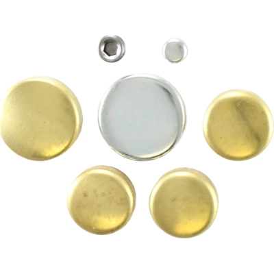 Expansion Plug Kit (Engine Kits) by PIONEER - PE104B pa1