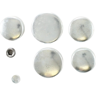 Expansion Plug Kit (Engine Kits) by PIONEER - PE104R pa1