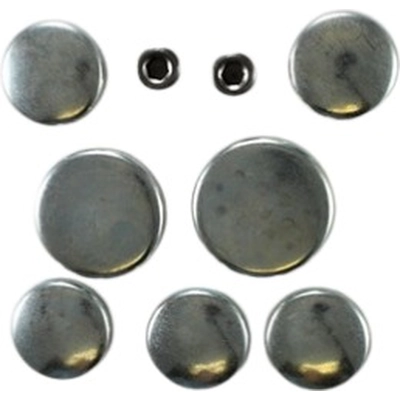 Expansion Plug Kit (Engine Kits) by PIONEER - PE107 pa2
