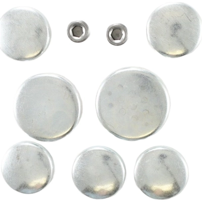 Expansion Plug Kit (Engine Kits) by PIONEER - PE107R pa1