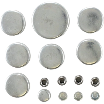 Expansion Plug Kit (Engine Kits) by PIONEER - PE108 pa4