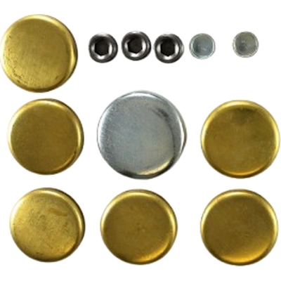 Expansion Plug Kit (Engine Kits) by PIONEER - PE120B pa3