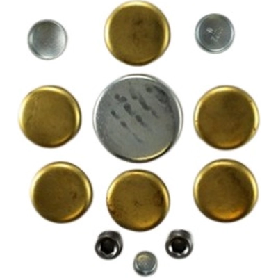 Expansion Plug Kit (Engine Kits) by PIONEER - PE124B pa3
