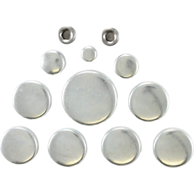 Expansion Plug Kit (Engine Kits) by PIONEER - PE124R pa1