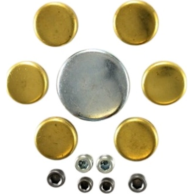 Expansion Plug Kit (Engine Kits) by PIONEER - PE125BR pa3