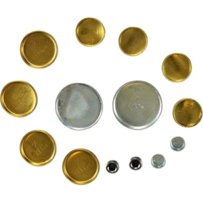 Expansion Plug Kit (Engine Kits) by PIONEER - PE137BR pa3