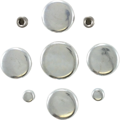 Expansion Plug Kit (Engine Kits) by PIONEER - PE164 pa1