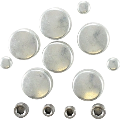 Expansion Plug Kit (Engine Kits) by PIONEER - PE165 pa1