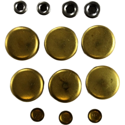 Expansion Plug Kit (Engine Kits) by PIONEER - PE165BR pa3