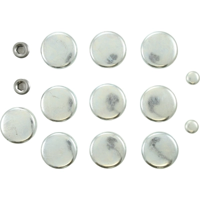 Expansion Plug Kit (Engine Kits) by PIONEER - PE280 pa1