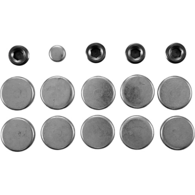 Expansion Plug Kit (Engine Kits) by PIONEER - PE836 pa3