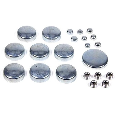 Expansion Plug Kit (Engine Kits) by PIONEER - PE100R pa2