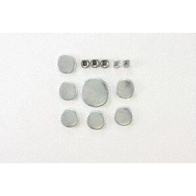 Expansion Plug Kit (Engine Kits) by PIONEER - PE109 pa2