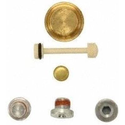 Expansion Plug Kit (Engine Kits) by PIONEER - PE496B pa2