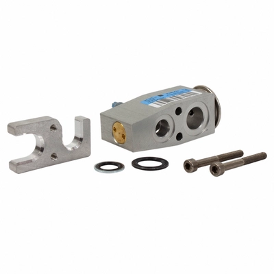 Expansion Valve by MOTORCRAFT - YG810 pa8